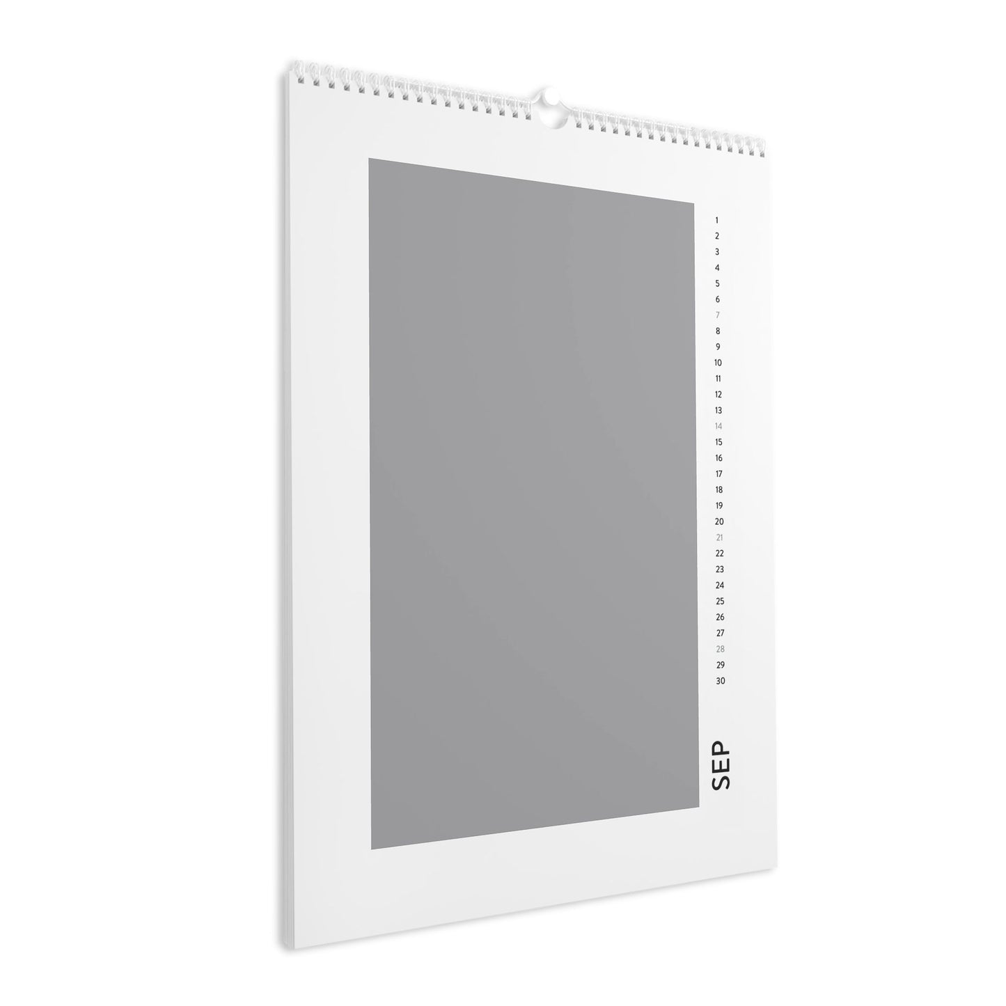 Wall Calendar (2025) image 1